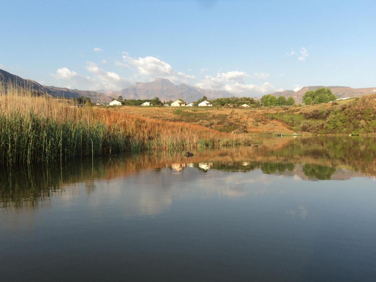 Wits End Mountain Resort Champagne Valley Εξωτερικό φωτογραφία